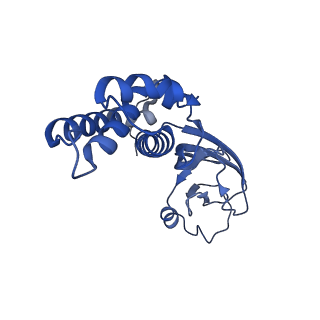 36463_8jov_L_v1-0
Portal-tail complex of phage GP4