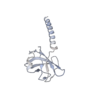 36463_8jov_M_v1-0
Portal-tail complex of phage GP4