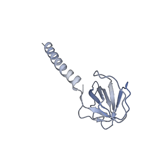 36463_8jov_N_v1-0
Portal-tail complex of phage GP4