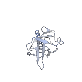 36463_8jov_O_v1-0
Portal-tail complex of phage GP4