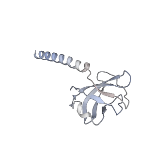 36463_8jov_P_v1-0
Portal-tail complex of phage GP4