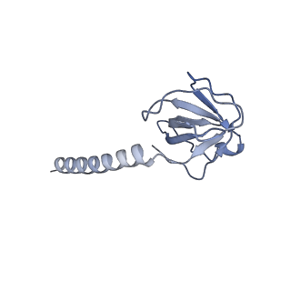 36463_8jov_Q_v1-0
Portal-tail complex of phage GP4