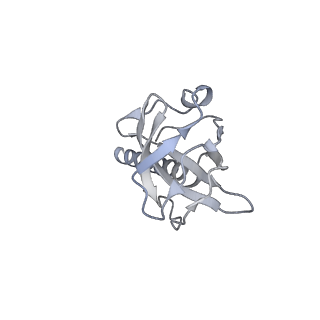 36463_8jov_R_v1-0
Portal-tail complex of phage GP4