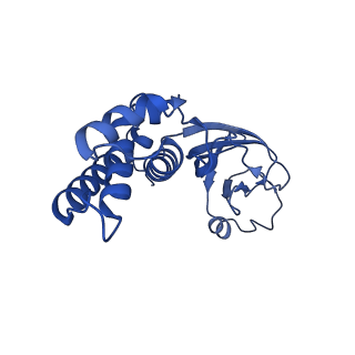 36463_8jov_S_v1-0
Portal-tail complex of phage GP4