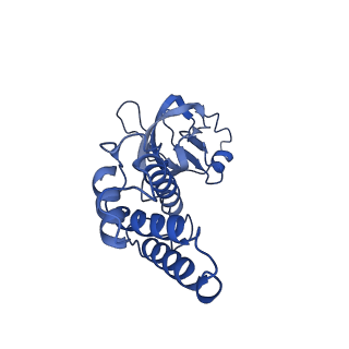 36463_8jov_T_v1-0
Portal-tail complex of phage GP4
