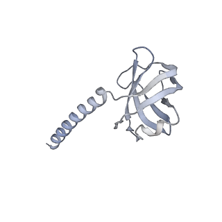36463_8jov_V_v1-0
Portal-tail complex of phage GP4