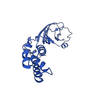36463_8jov_W_v1-0
Portal-tail complex of phage GP4
