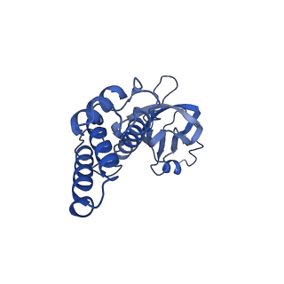 36463_8jov_X_v1-0
Portal-tail complex of phage GP4