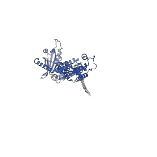 36463_8jov_Y_v1-0
Portal-tail complex of phage GP4