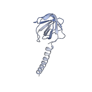 36463_8jov_Z_v1-0
Portal-tail complex of phage GP4