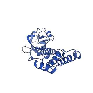 36463_8jov_b_v1-0
Portal-tail complex of phage GP4