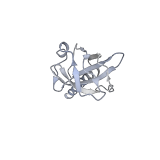 36463_8jov_d_v1-0
Portal-tail complex of phage GP4