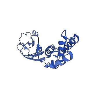 36463_8jov_e_v1-0
Portal-tail complex of phage GP4