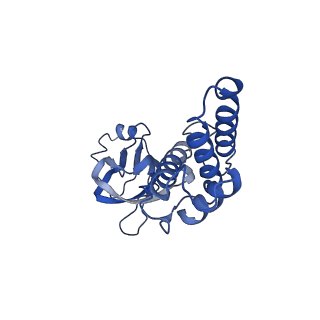 36463_8jov_f_v1-0
Portal-tail complex of phage GP4