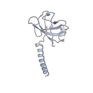36463_8jov_h_v1-0
Portal-tail complex of phage GP4
