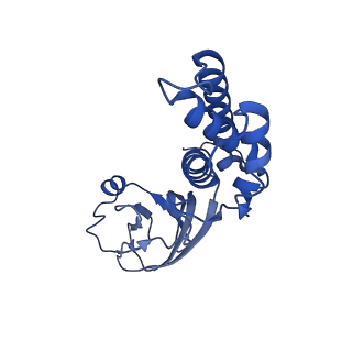 36463_8jov_i_v1-0
Portal-tail complex of phage GP4