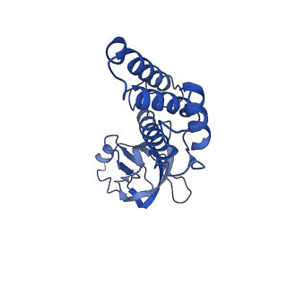 36463_8jov_j_v1-0
Portal-tail complex of phage GP4