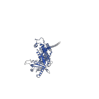 36463_8jov_k_v1-0
Portal-tail complex of phage GP4