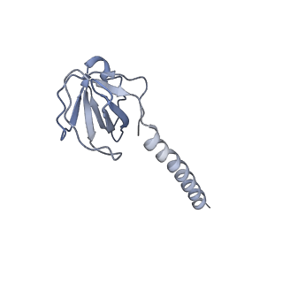 36463_8jov_l_v1-0
Portal-tail complex of phage GP4
