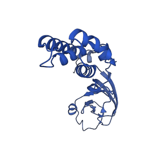 36463_8jov_m_v1-0
Portal-tail complex of phage GP4