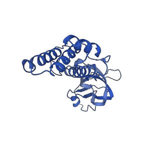 36463_8jov_n_v1-0
Portal-tail complex of phage GP4