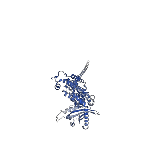36463_8jov_o_v1-0
Portal-tail complex of phage GP4