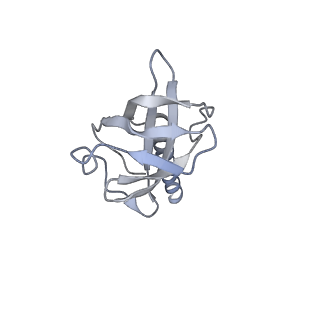 36463_8jov_p_v1-0
Portal-tail complex of phage GP4