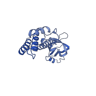36463_8jov_q_v1-0
Portal-tail complex of phage GP4