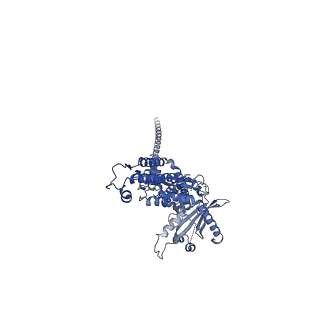 36463_8jov_r_v1-0
Portal-tail complex of phage GP4