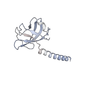36463_8jov_s_v1-0
Portal-tail complex of phage GP4