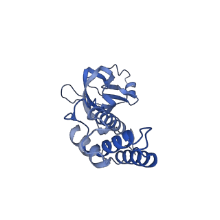 36463_8jov_t_v1-0
Portal-tail complex of phage GP4