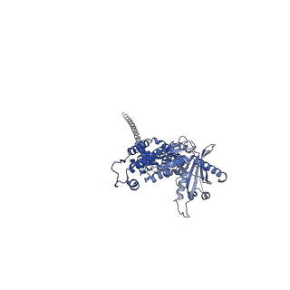 36463_8jov_u_v1-0
Portal-tail complex of phage GP4