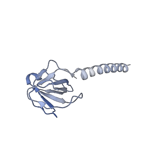 36463_8jov_v_v1-0
Portal-tail complex of phage GP4