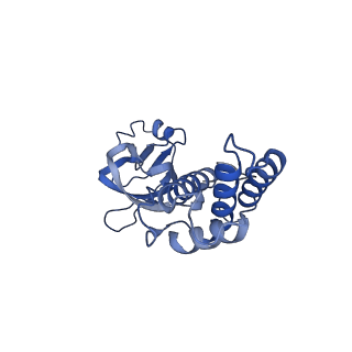 36463_8jov_w_v1-0
Portal-tail complex of phage GP4