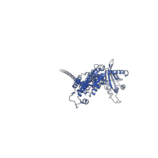 36463_8jov_x_v1-0
Portal-tail complex of phage GP4