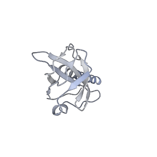 36463_8jov_y_v1-0
Portal-tail complex of phage GP4