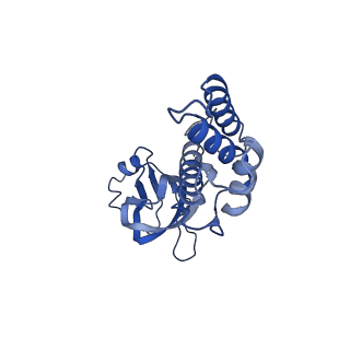 36463_8jov_z_v1-0
Portal-tail complex of phage GP4
