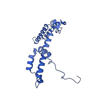9853_6jo5_F_v1-1
Structure of the green algal photosystem I supercomplex with light-harvesting complex I