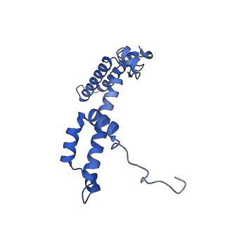 9854_6jo6_F_v1-1
Structure of the green algal photosystem I supercomplex with light-harvesting complex I