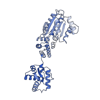 22417_7jpo_A_v1-1
ORC-O1AAA: Human Origin Recognition Complex (ORC) with dynamic/unresolved ORC2 WH