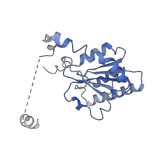 22417_7jpo_B_v1-1
ORC-O1AAA: Human Origin Recognition Complex (ORC) with dynamic/unresolved ORC2 WH