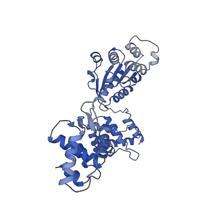 22417_7jpo_D_v1-1
ORC-O1AAA: Human Origin Recognition Complex (ORC) with dynamic/unresolved ORC2 WH