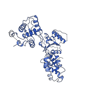 22417_7jpo_E_v1-1
ORC-O1AAA: Human Origin Recognition Complex (ORC) with dynamic/unresolved ORC2 WH