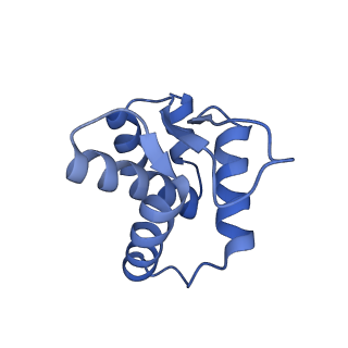 22418_7jpp_A_v1-1
ORC-O2WH: Human Origin Recognition Complex (ORC) with dynamic/unresolved ORC1 AAA+ domain