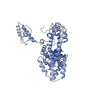 22418_7jpp_C_v1-1
ORC-O2WH: Human Origin Recognition Complex (ORC) with dynamic/unresolved ORC1 AAA+ domain