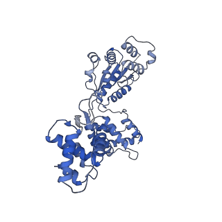 22418_7jpp_D_v1-0
ORC-O2WH: Human Origin Recognition Complex (ORC) with dynamic/unresolved ORC1 AAA+ domain