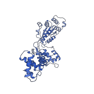 22418_7jpp_D_v1-1
ORC-O2WH: Human Origin Recognition Complex (ORC) with dynamic/unresolved ORC1 AAA+ domain