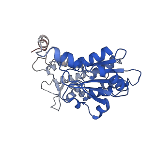 22419_7jpq_B_v1-1
ORC-O2-5: Human Origin Recognition Complex (ORC) with subunits 2,3,4,5