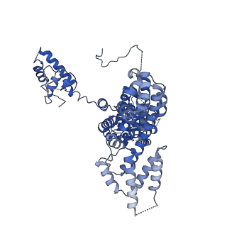 22419_7jpq_C_v1-1
ORC-O2-5: Human Origin Recognition Complex (ORC) with subunits 2,3,4,5