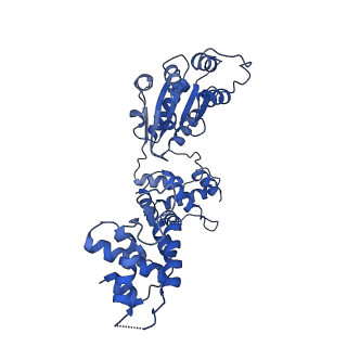 22419_7jpq_D_v1-1
ORC-O2-5: Human Origin Recognition Complex (ORC) with subunits 2,3,4,5